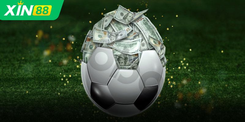 Vai trò của nhận định bóng đá